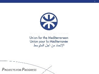 Mr. Salvatore D'Alfonso Union for Mediterranean Motorways of the Sea Initiative: a way to a re-equilibrium in the Mediterranean