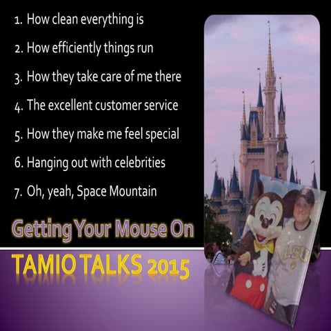 TAMIOtalks on using Disney success principals in local government