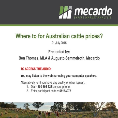 Mecardo: Where to for Australian cattle prices