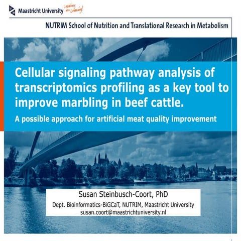 Transcriptional profiling as a key tool to improve marbling in beef cattle.