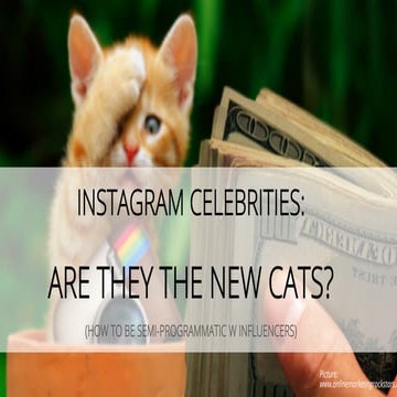 Instagram Celebrities: are they the new cats? - Targetsummit Berlin 2015
