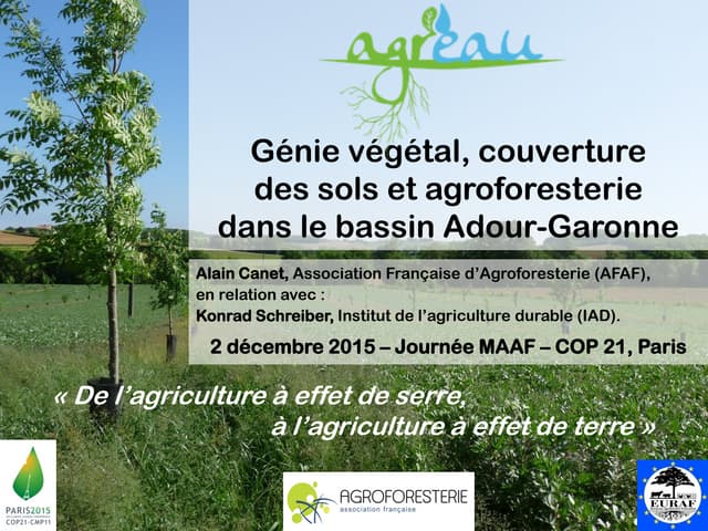 Génie végétal, couverture des sols ...