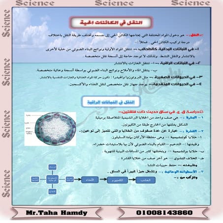 النقل في الكائنات الحية 2015