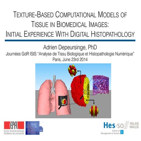 Texture-Based Computational Models of Tissue in Biomedical Images: Initial Ex...