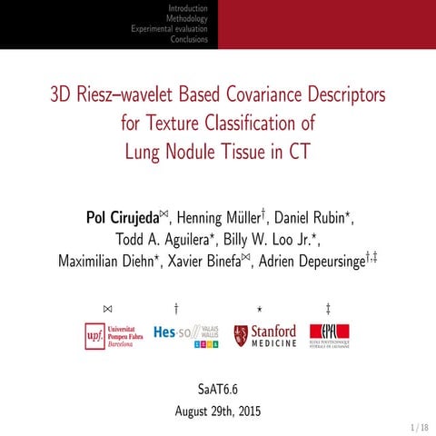 3D Riesz-wavelet Based Covariance Descriptors for Texture Classication of Lu...