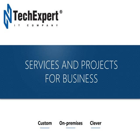 TechExpert: Service and Project for Business