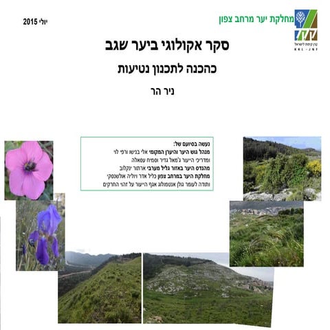 יער שגב - סקר אקולוגי