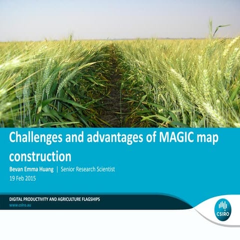 2015. Emma Huang. Challenges and advantages of magic map construction | PDF