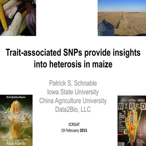 2015. Patrik Schnable. Trait associated SNPs provide insights  into heterosis...