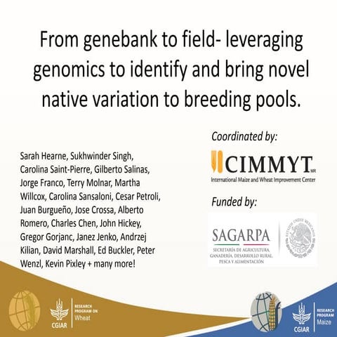 2015. SarahHearne. From genebank to field- leveraging genomics to identify an...