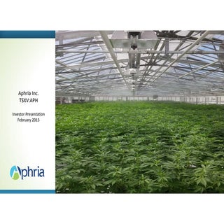 2015 Aphria Medical Marijuana Inves...