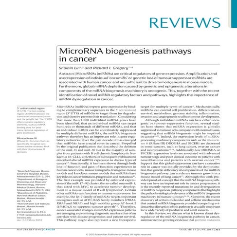 Micro RNA biogenesis pathways in cancer - Article.