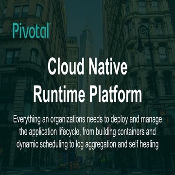 Cloud Native Runtime Platform