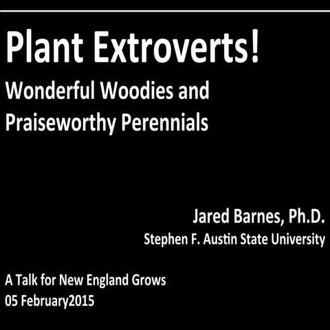 Plant Extroverts!  Wonderful Woodies and Praiseworthy Perennials