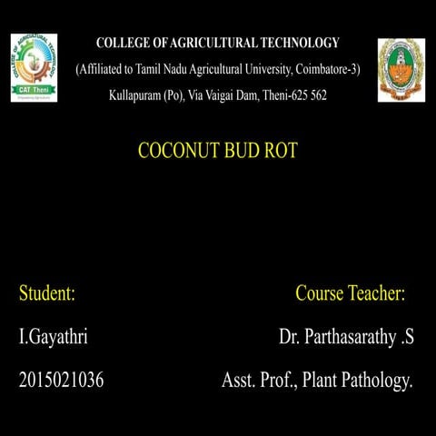 2015021036   coconut bud rot