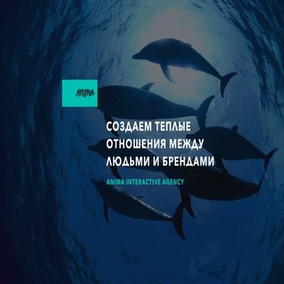 Anima Interactive agency