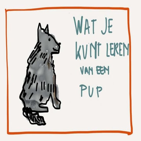 3 onmisbare stappen bij het maken van een goede toets | PPT