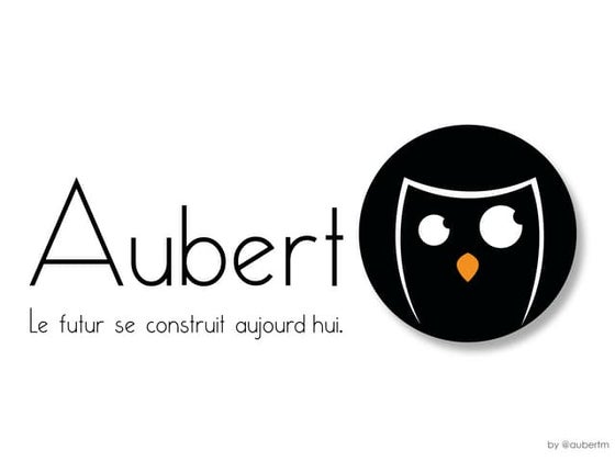 201503 aubertm EHP Comment cadrer sa créativité (de zèbre) - Méthodologie de plan de développement personnel
