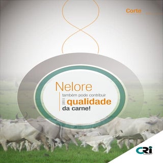 A Raça Nelore também pode contribui...