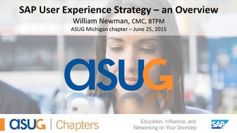 SAP User Experience Strategy - An Overview