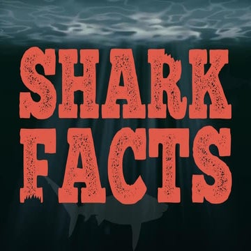 Shark Facts