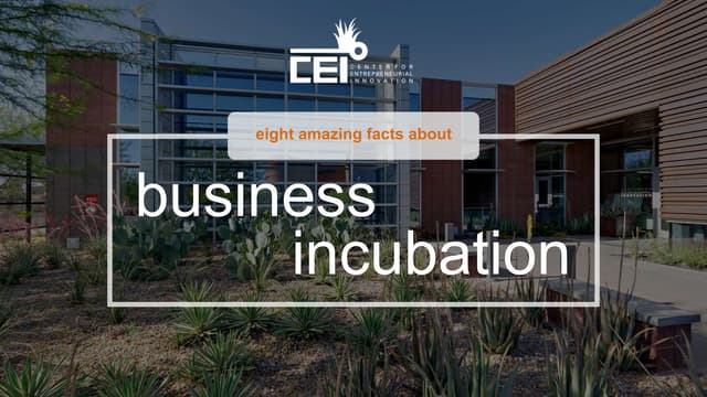 8 Amazing Facts about Business Incubators & Accelerators