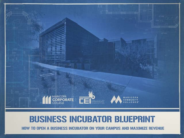 Business Incubator Blueprint: How to Open a Business Incubator and Maximize Revenue 
