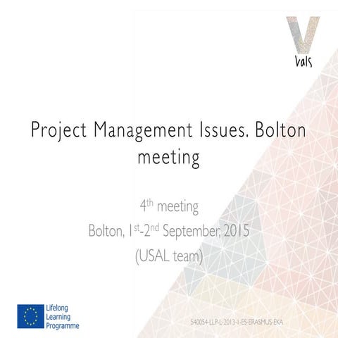 Project Management Issues. Bolton meeting