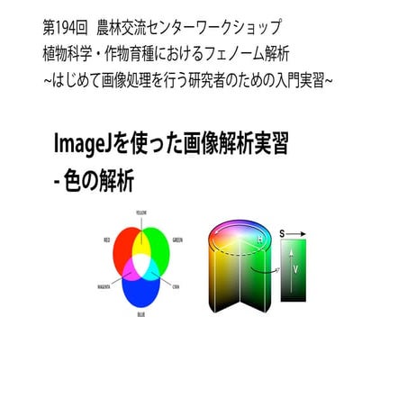 ImageJを使った画像解析実習-色の解析-