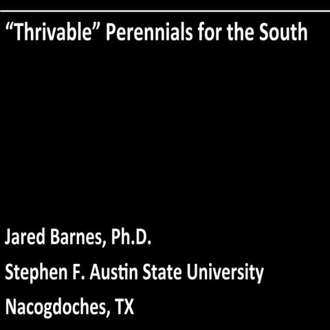 "Thrivable" Perennials for the South