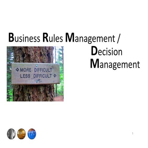 Guest Lecture Business Rules Management / Decision Management Utrecht University