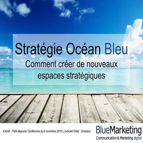 Stratégie océan bleu (Blue Ocean Strategy) - Comment créer de nouveaux espace...