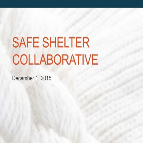 Safe Shelter Collaborative: Update. 