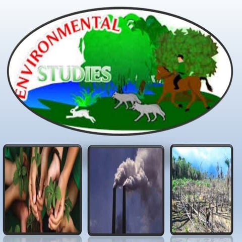 Environmental Studies