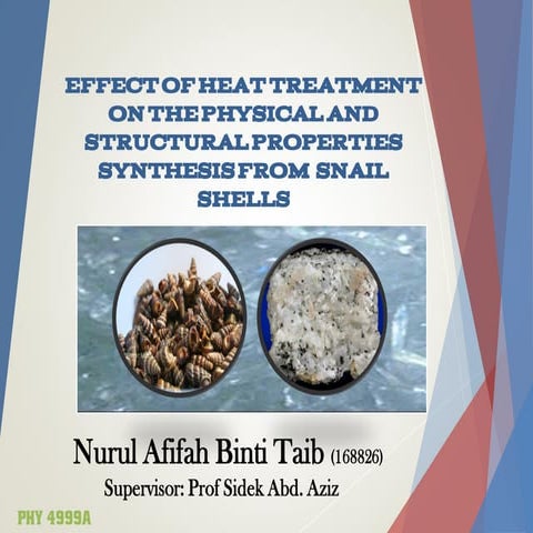 2015 afifah sls  snail