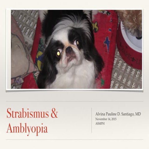 2015 Strabismus and Amblyopia
