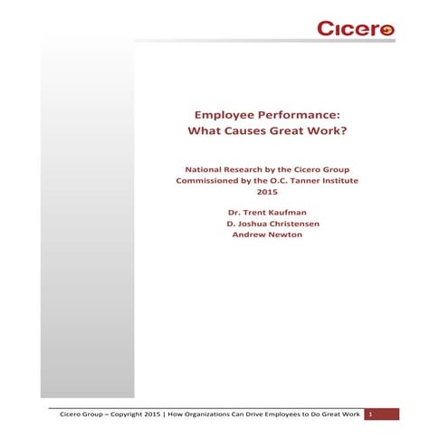 Employee Performance: What Causes Great Work? [WHITE PAPER]