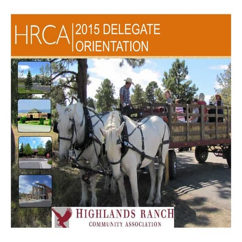 2015 Delegate Orientation