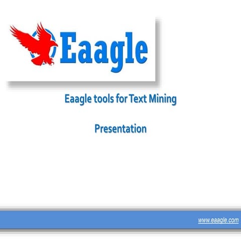 A quick overview of Eaagle