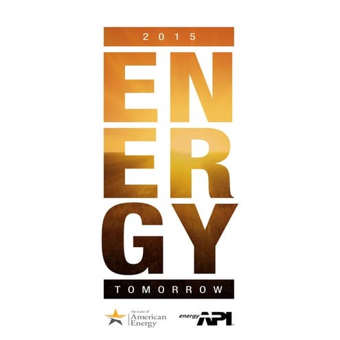 2015 Energy Industry Outlook - The American Petroleum Institute