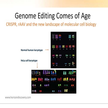 Genome Editing Comes of Age