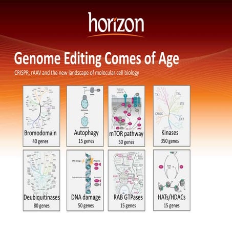Genome Editing Comes of Age; CRISPR, rAAV and the new landscape of molecular ...
