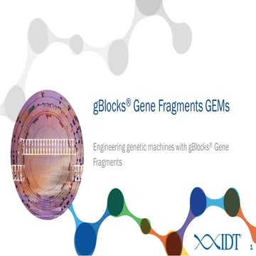 iGEM Progress Using High Quality Gene Fragments