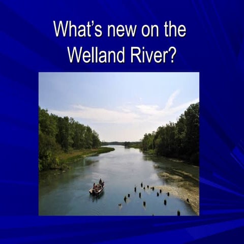 Welland River Floodplain Mapping - Round 2 Public Information ...