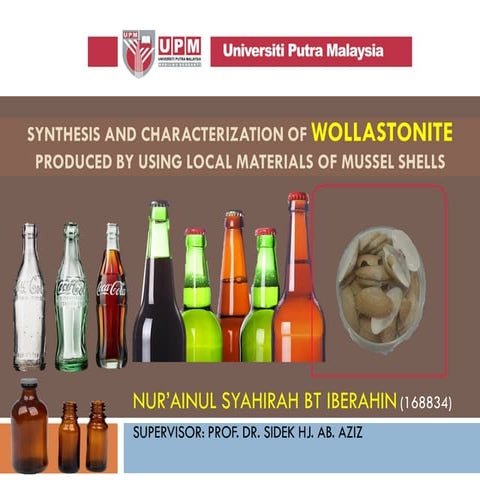 2015 nurulainul sls mussel