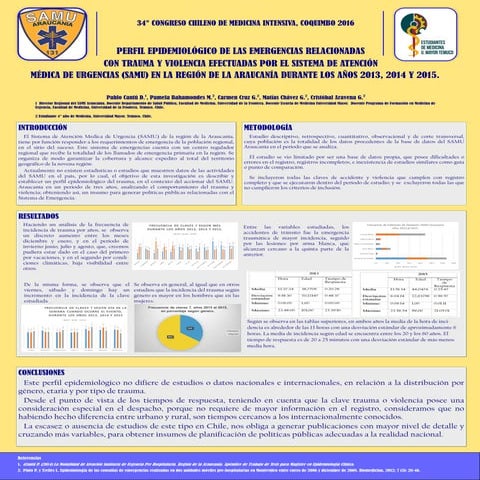 2015 Perfil Epidemiologico de las Claves de Trauma y Violencia ejecutadas por...