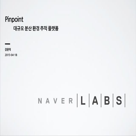 Pinpoint spring_camp 2015