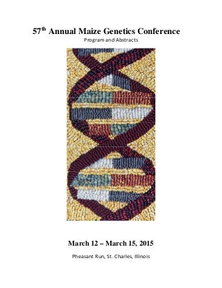 Natural Enhancer Pills