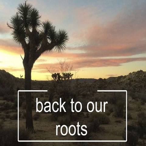 Back to our roots: We all have a story