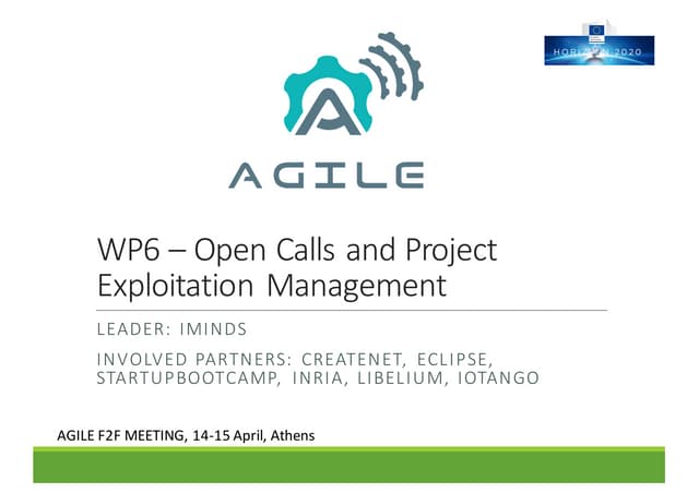 WP6 – Open Calls and Project Exploitation Management